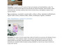write SEO product descriptions for amazon, shopify, etsy and airbnb listings